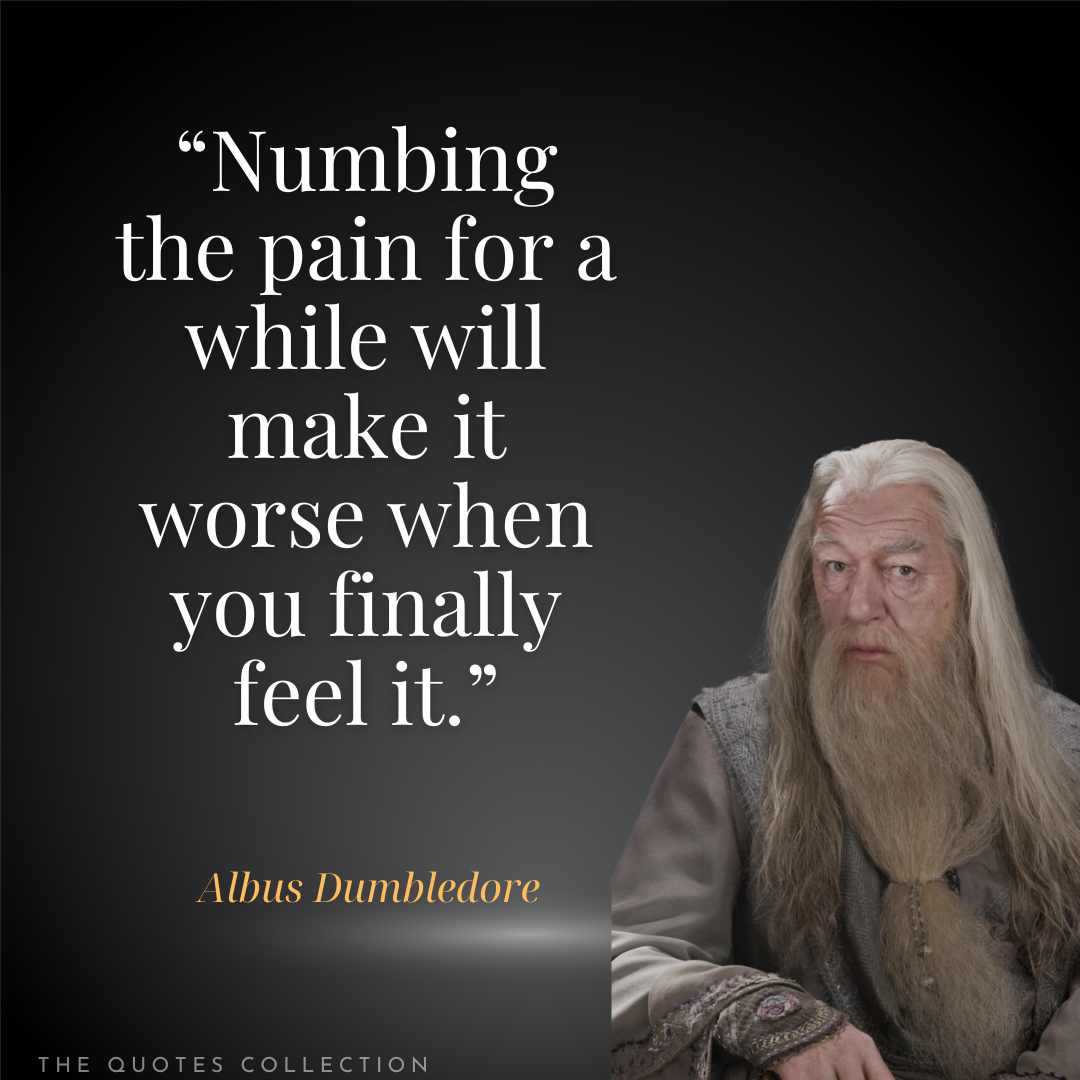 55 Powerful Albus Dumbledore Quotes from Harry Potter - The Quotes ...