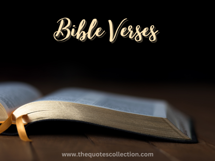 bible verses