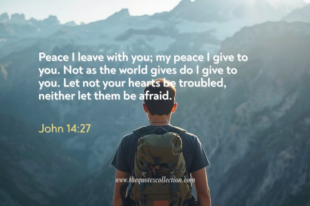 Bible verses from John graphic talking about troubled hearts