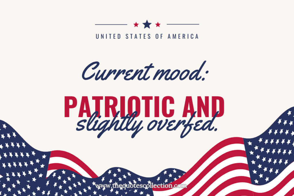 4th of july quote graphic with text "patriotic and slightly overfed"