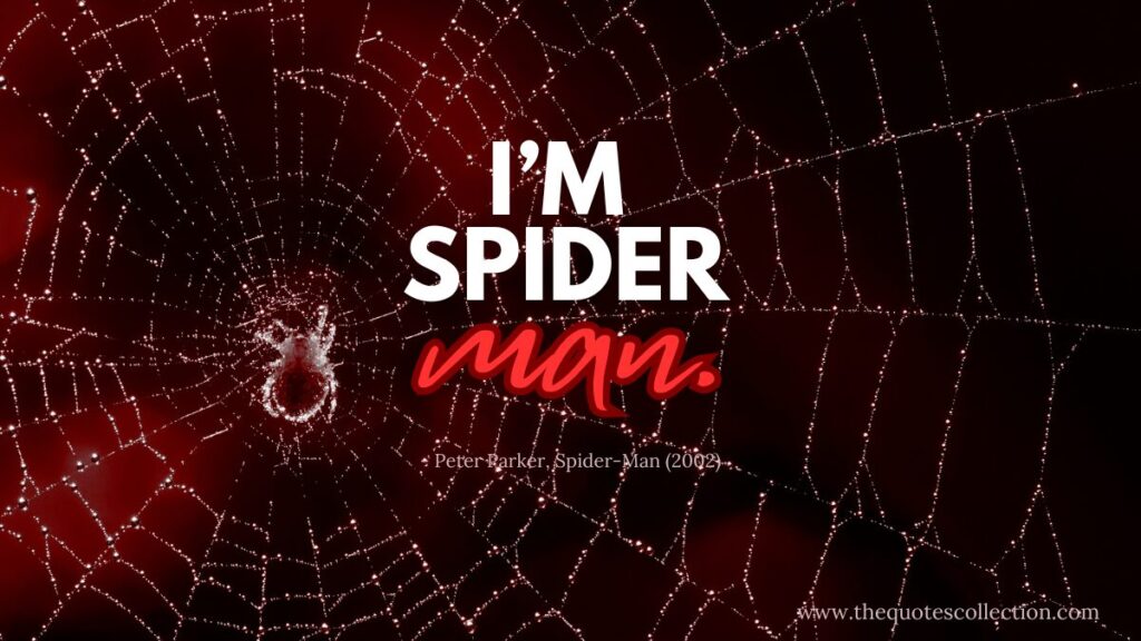 I am spiderman quote graphic