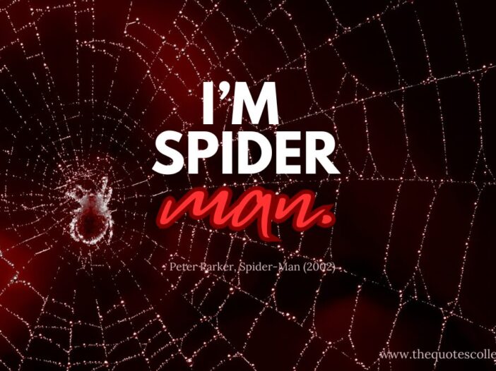 I am spiderman quote graphic