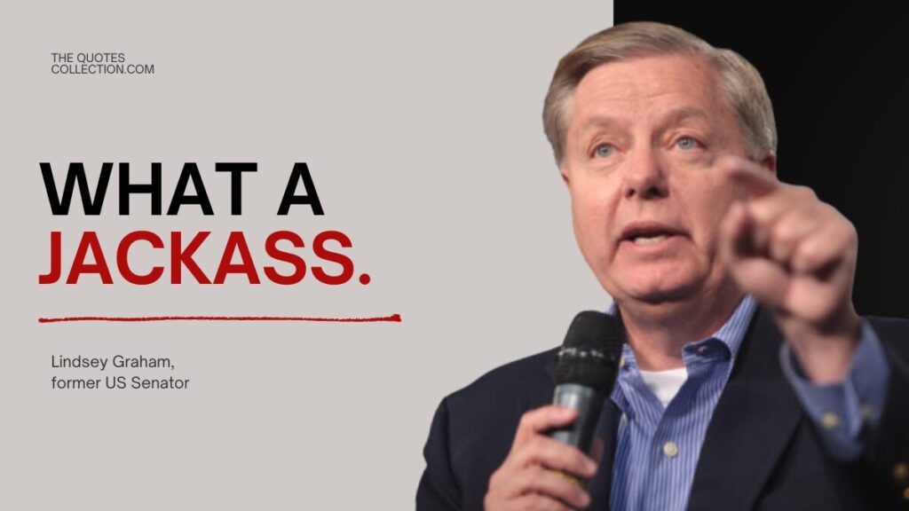 Lindsey Graham quotes about Trump graphic