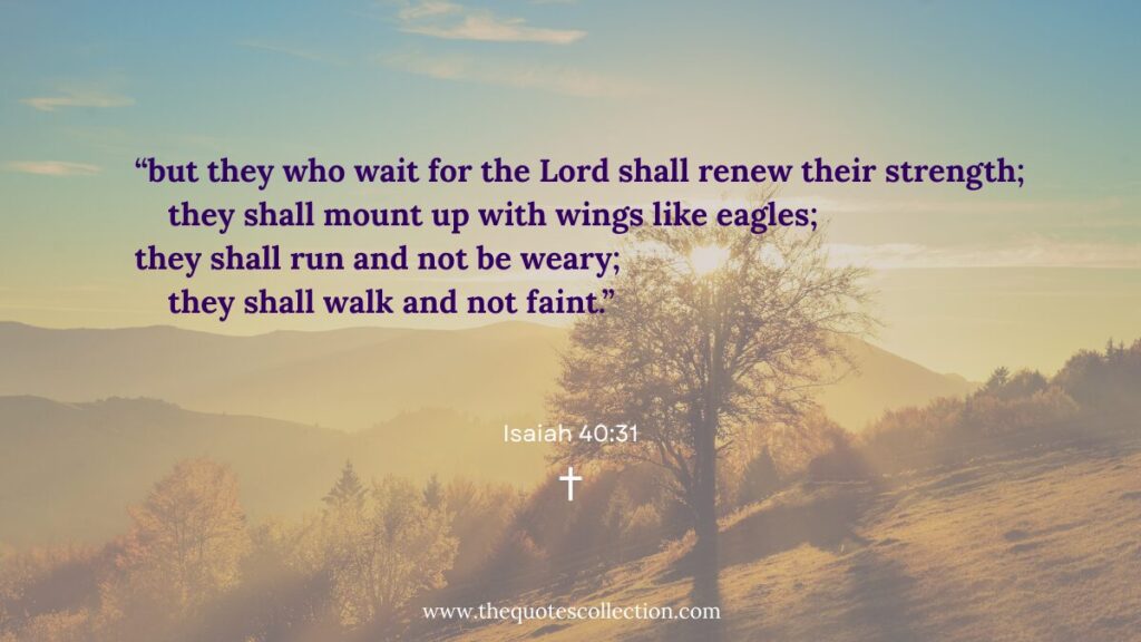 Isaiah 40:31 Bible verse about finding renewed strength in the Lord.