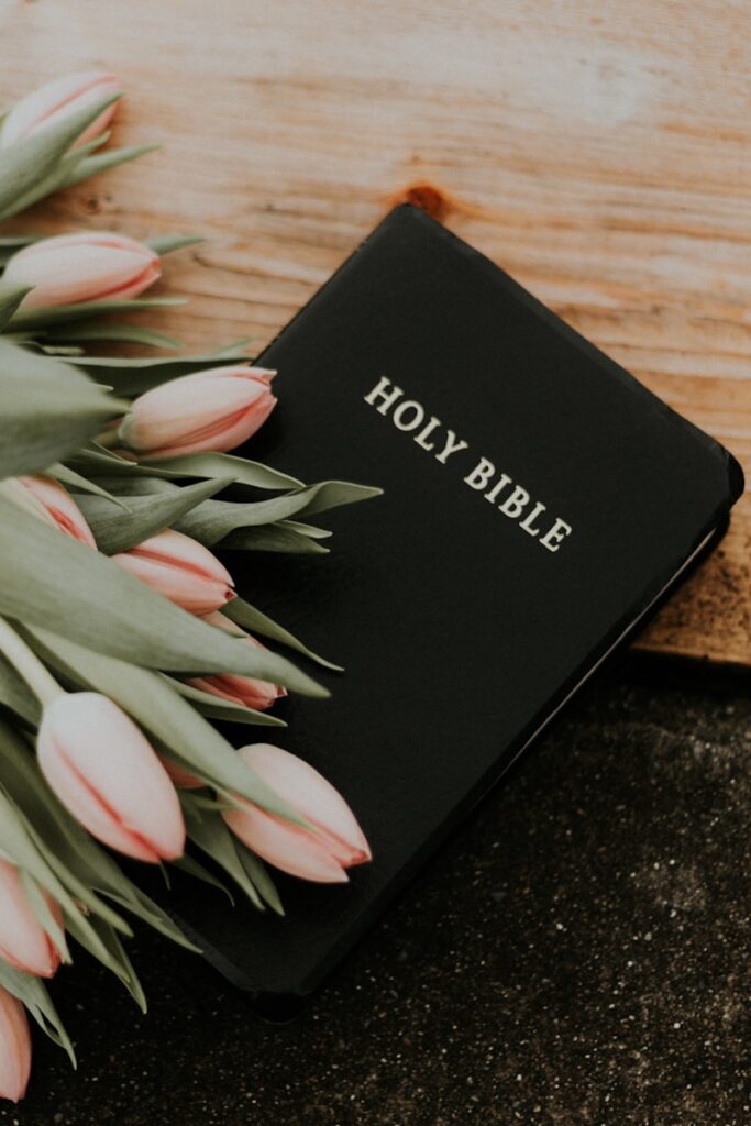 Black Holy Bible under pink tulips