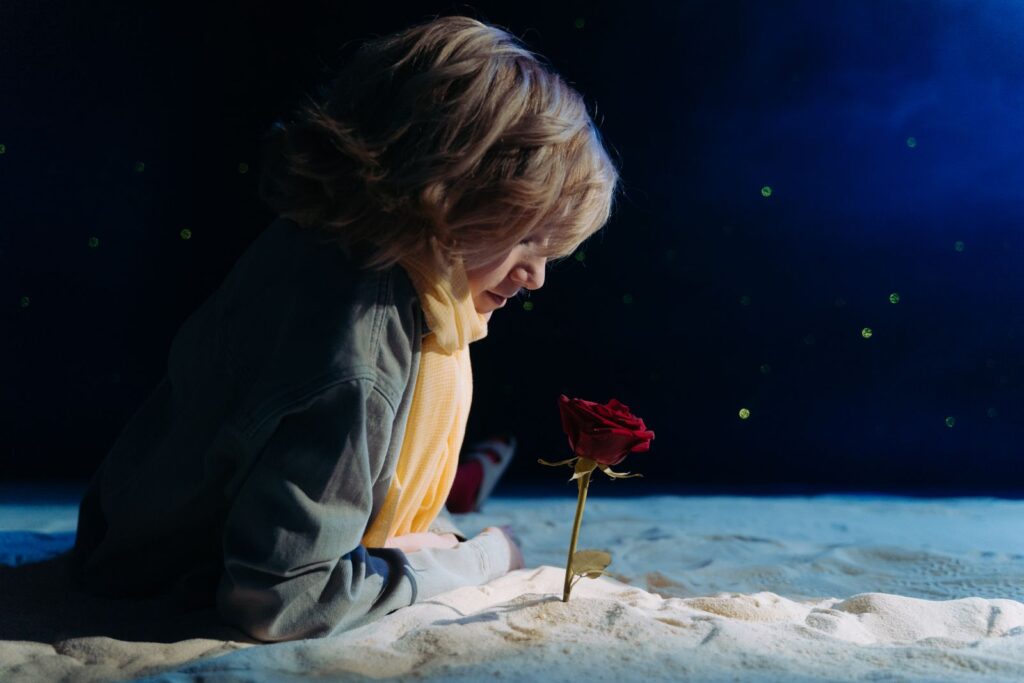 Boy dressed as the Little Prince gazing at a red rose, illustrating The Little Prince quotes about love.