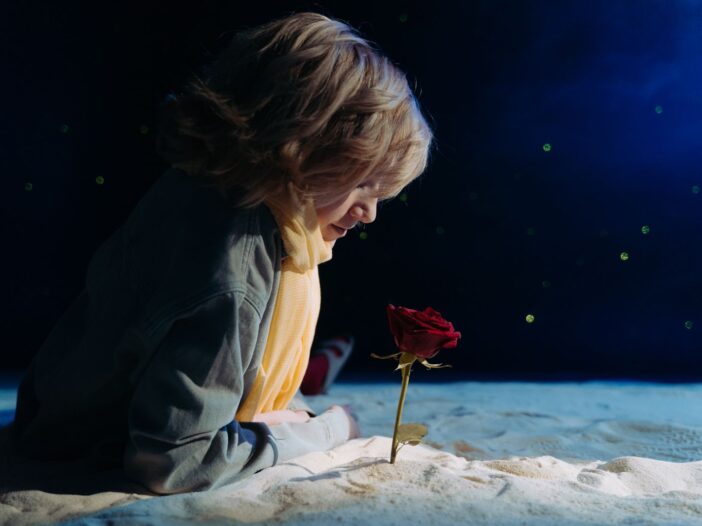 Boy dressed as the Little Prince gazing at a red rose, illustrating The Little Prince quotes about love.