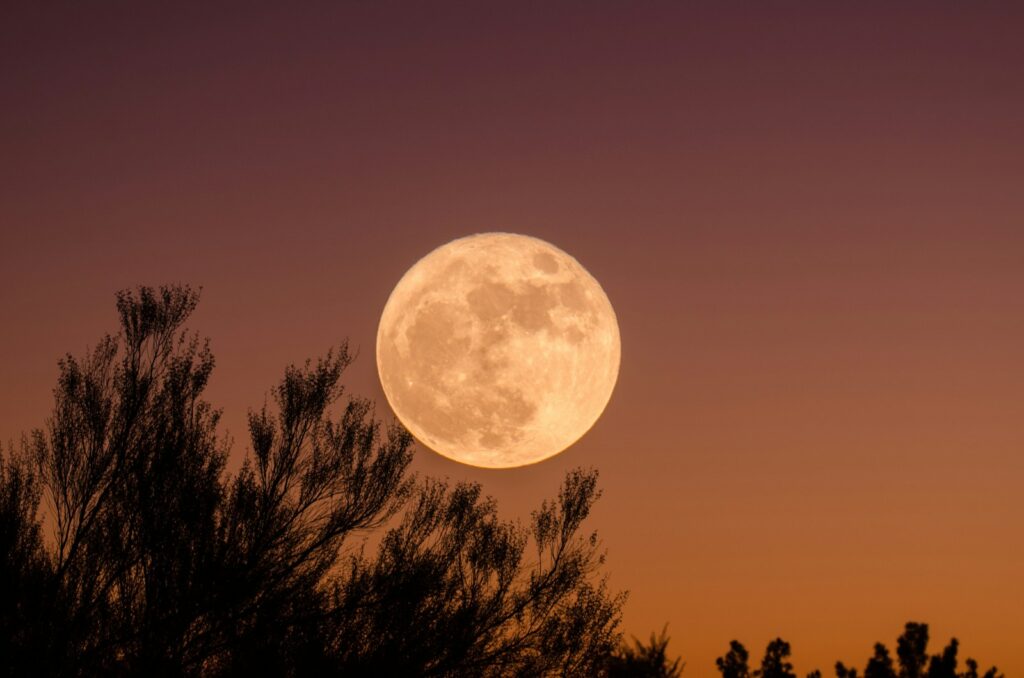 Full moon over dark autumn trees at dusk for inspirational Halloween quotes about fear and courage.