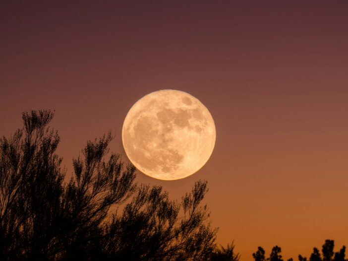 Full moon over dark autumn trees at dusk for inspirational Halloween quotes about fear and courage.