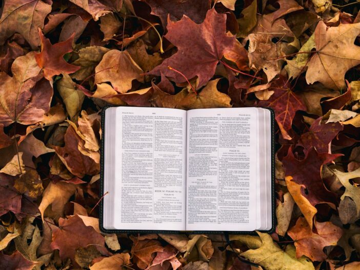 Open Bible on autumn leaves to illustrate October Bible verses