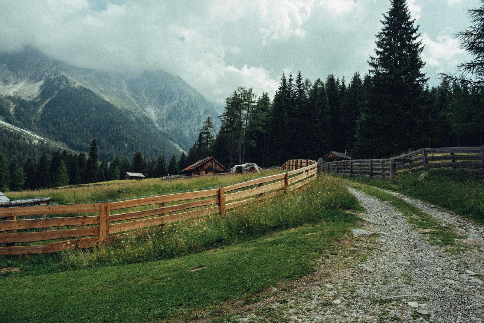 Wooden fence along a gravel path in a mountain meadow